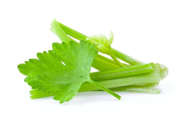 celery on white background