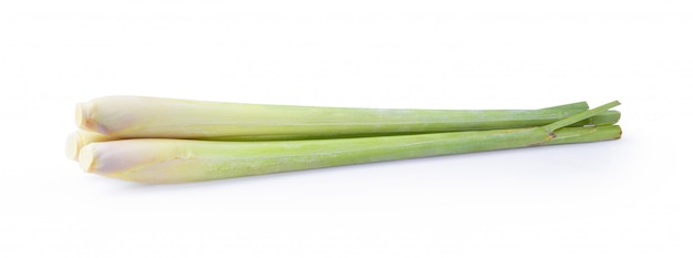 Celery on white wall.
