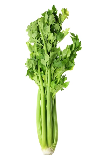 Celery