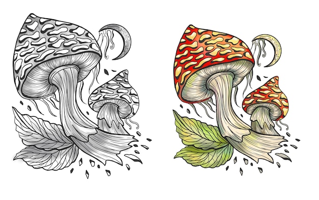 celestial mystic mushrooms with magic and floral decorative design elements