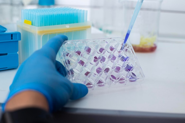 celkweek in het laboratorium voor bio-engineering