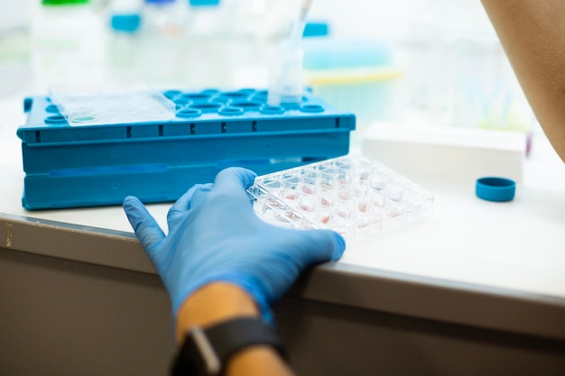 Photo cell culture at the bioengineering laboratory