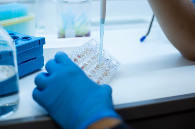 Photo cell culture at the laboratory