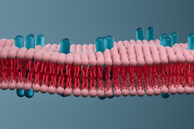 Cell membrane and biology biological concept 3d rendering