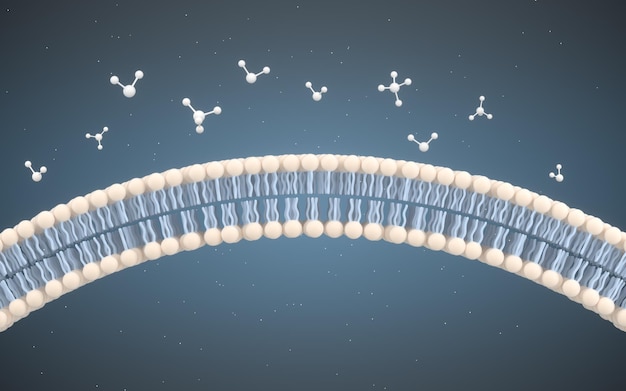 Cell membrane and molecules 3d rendering