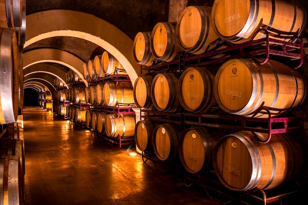 Cellar with barrels for storage of wine in Spain