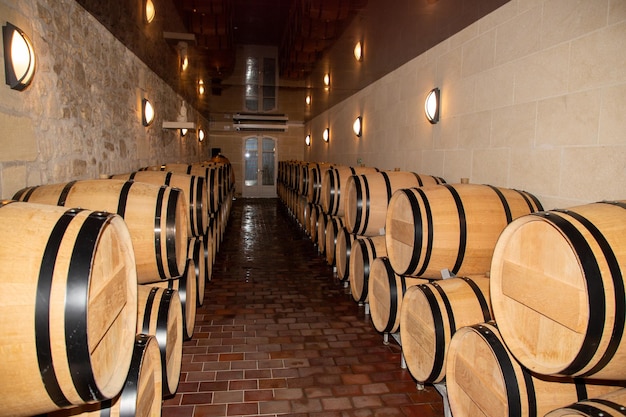 Cantina vino in legno in botti di rovere in vendemmia saint emilion villaggio unesco bordeaux francia