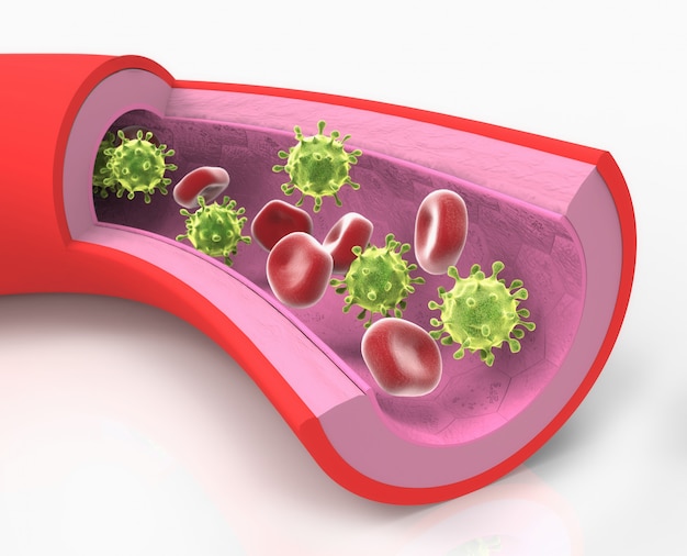 Cellen met griepvirus