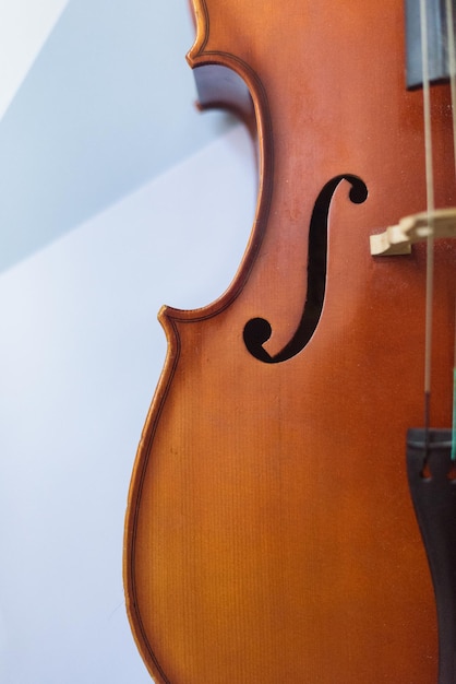 Foto dettagli violoncello