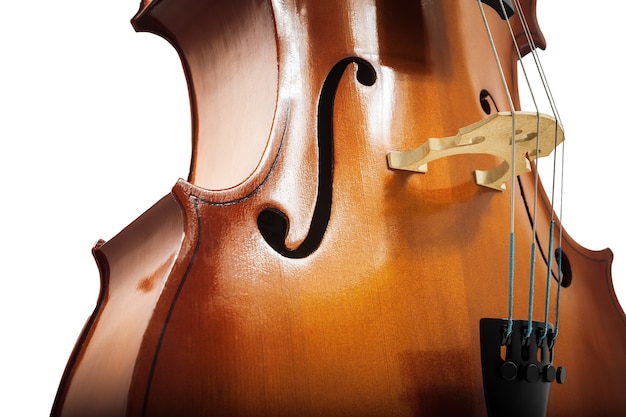 Cello or violin isolated on white