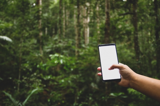 Cellphone In the forest, there is no contact.