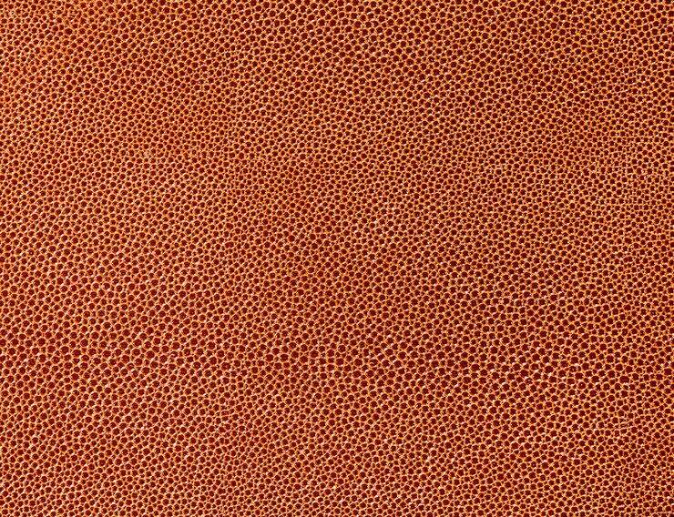 Photo cellular surface