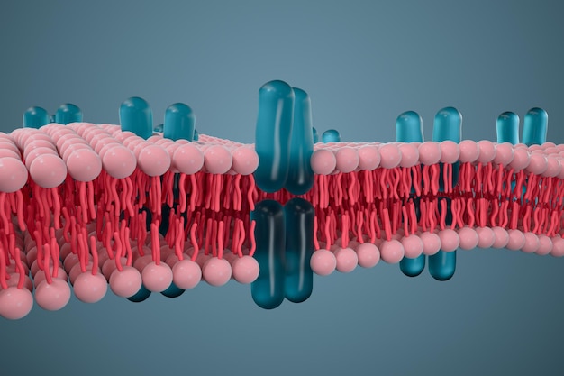 Foto celmembraan en biologie biologisch concept 3d-rendering computerdigitale tekening