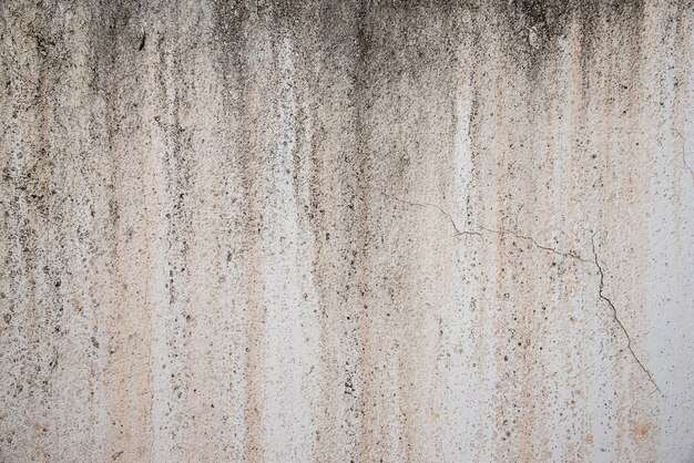 Cement and coccrete grunge texture