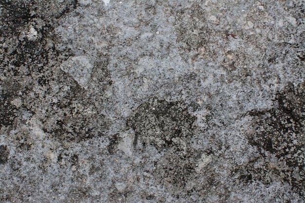 Photo cement concrete texture and pattern