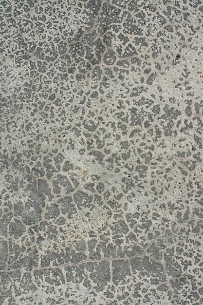 Photo cement concrete texture and pattern