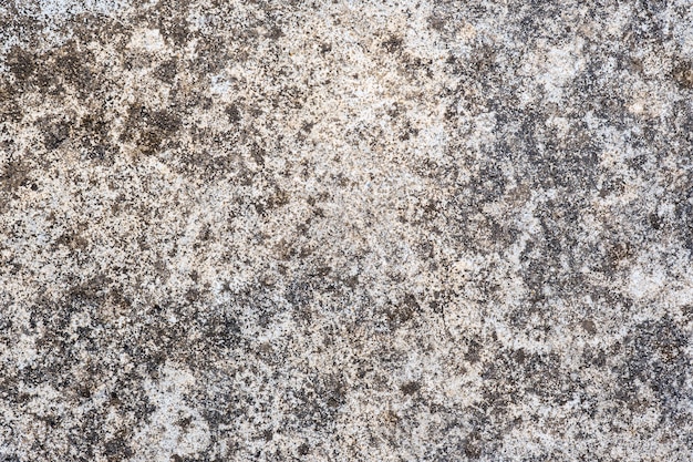 Cement  texture for  background and abstract