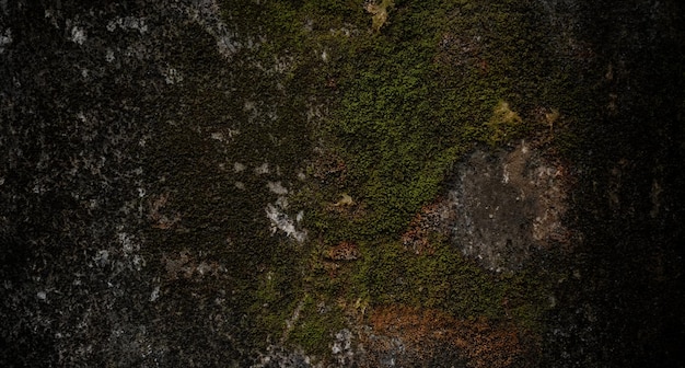 Cement texture full of scratches scary dark concrete wall background