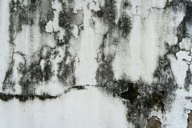 Цементная текстура