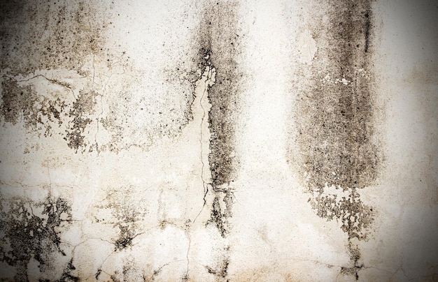 セメント壁の背景 シームレスなパターン テクスチャ背景としてシンプルな汚れた白いレンガ壁