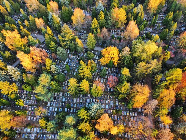 Foto cimitero in autunno - colpo di drone