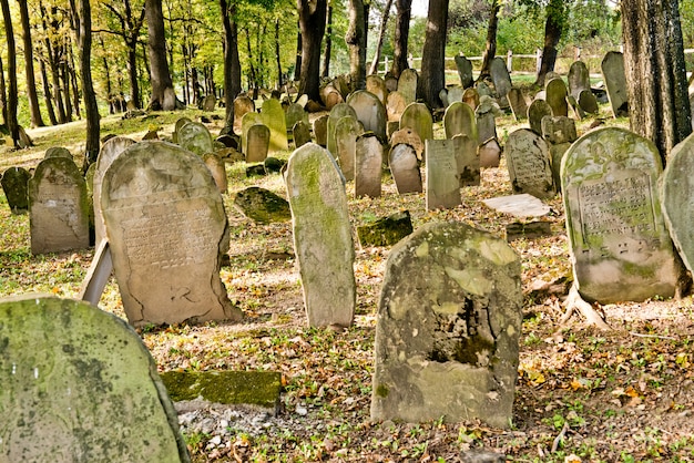 写真 ポーランドの墓地ユダヤ人-森のmatzevot