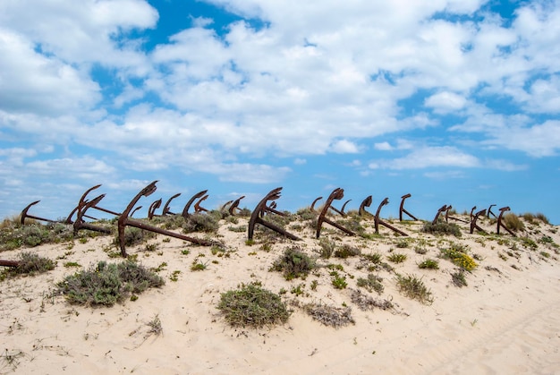 Photo cemetery of marine anchors at barril beach