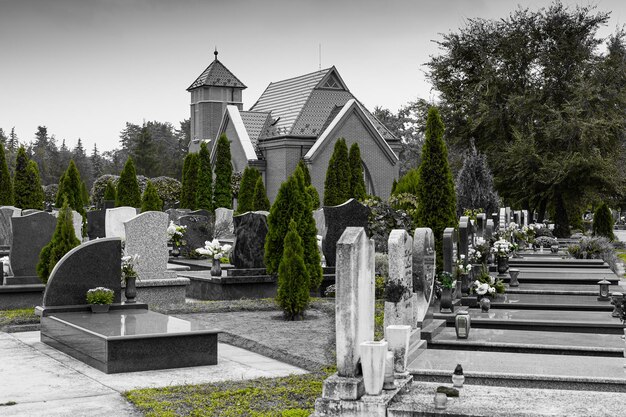 Foto cimitero in un colore particolare