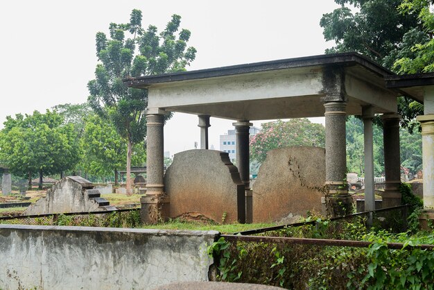 Cemetery with trees and many tombstones on a bright day