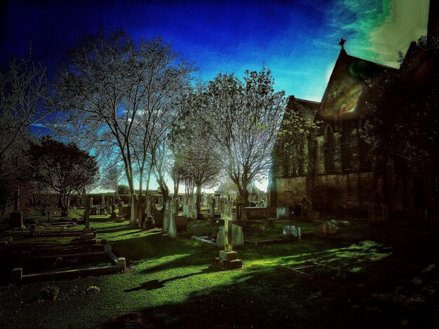 Foto cimitero con alberi