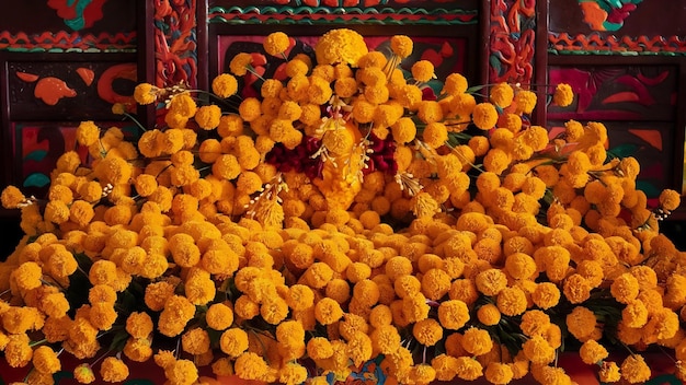 Cempasuchil yellow marigold flowers for altars of day of the dead mexico