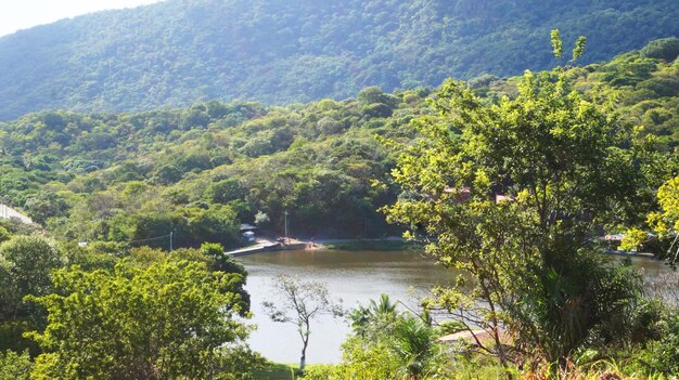 Foto cena da montanha