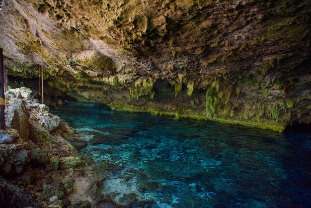 Cenote Dos Ojos met helderblauw water