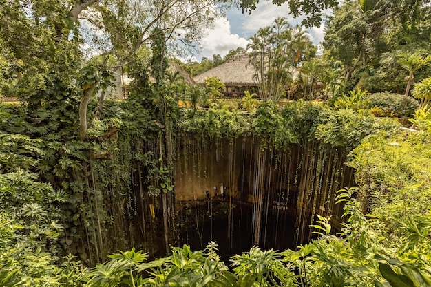 Cenote It Kil aerial view in Yucatan Mexico