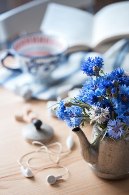 Centaurea в старинном чайнике