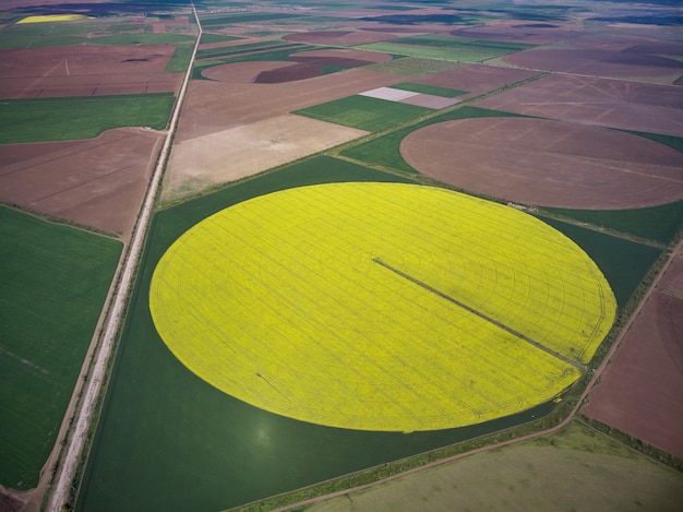 Center pivot irrigatiesysteem op een gele koolzaadveld luchtfoto drone view drone