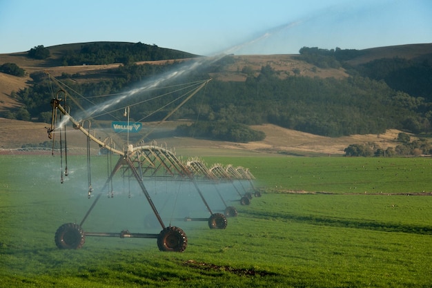 Center pivot irrigation of green pastures