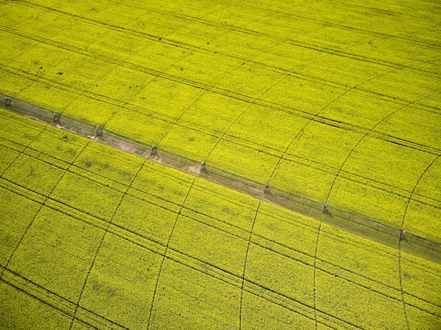 Center pivot irrigation system on a yellow rapeseed field aerial drone view