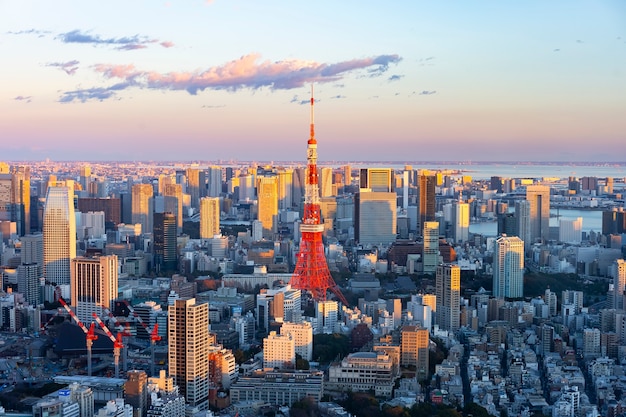 Centraal Tokyo en Tokyo Tower