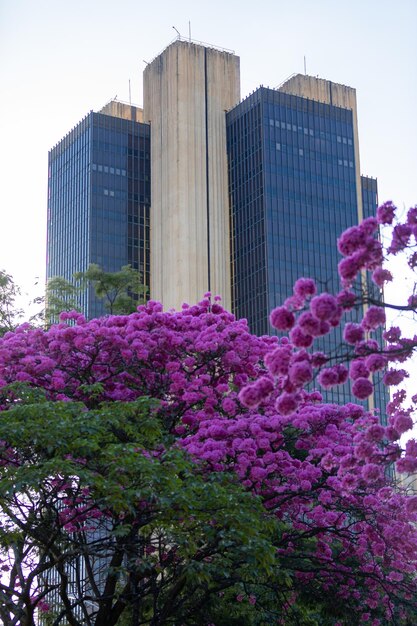 写真 ブラジルの首都ブラジリア市の中央銀行の建物