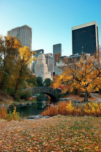 Photo central park autumn and buildings in midtown manhattan new york city