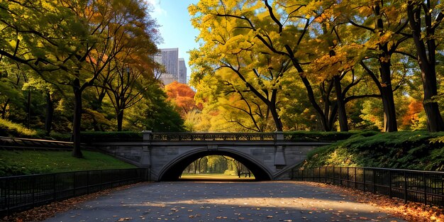 Photo central park autumn and buildings in midtown manhattan new york city