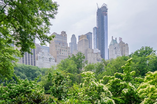 Central Park en een prachtig contrast met wolkenkrabbers en gebouwen Manhattan New York City USA