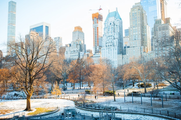 Central park in de winter, new york city, verenigde staten