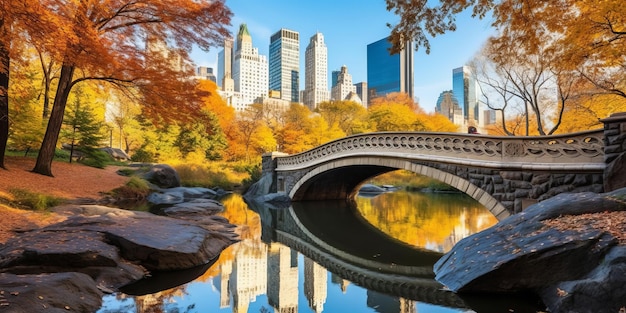 Central Park in New York City tijdens het herfstseizoen