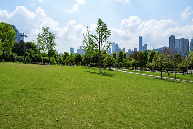 Foto edifici per uffici e prato di central park