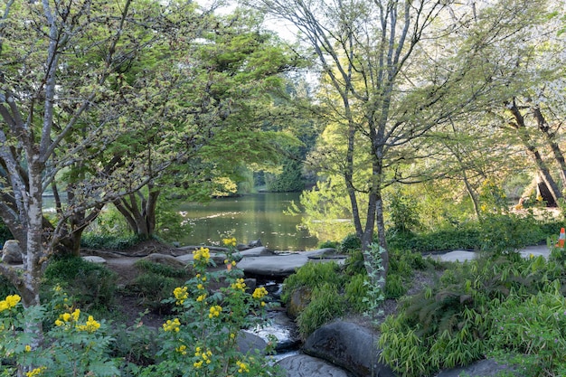 Central Park Lower Pond in springtime Burnaby British Columbia Canada