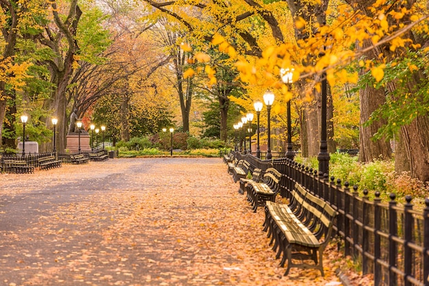 Photo central park at the mall in new york city