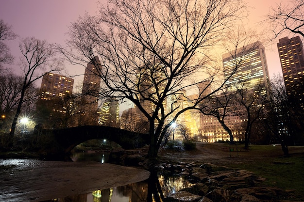 Central Park and Manhattan skyline