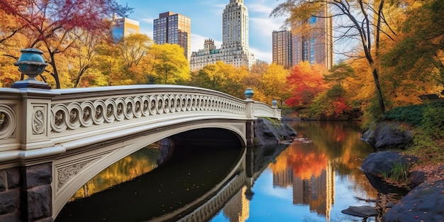 Central Park in New York City during autumn season